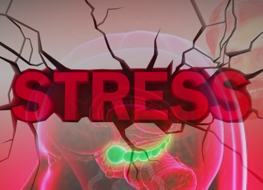 Stress!