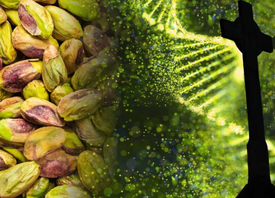 Nuts?