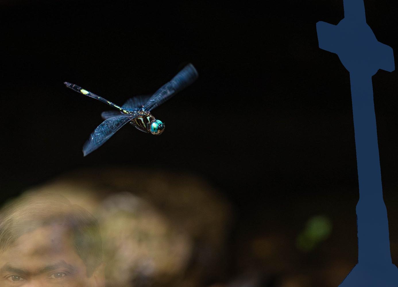 Homiletix 240225 Light