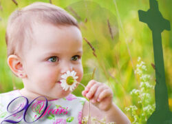 Scent!