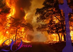 Disasters!